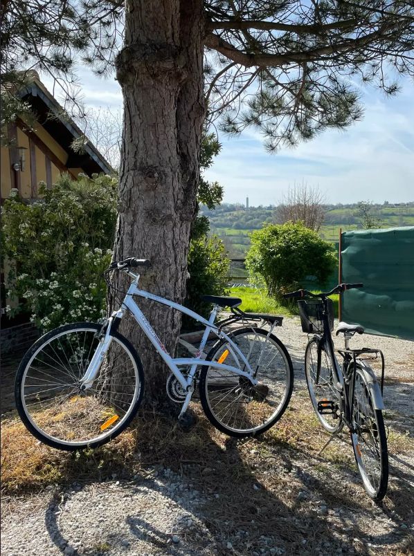 Templates WebAcappella Fusion